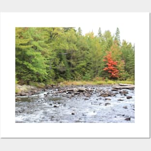 Rivers Edge - Algonquin Provincial Park Posters and Art
